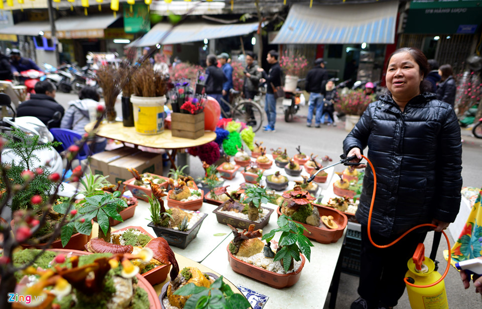Nấm linh chi biến thành cây cảnh trưng bày dịp Tết